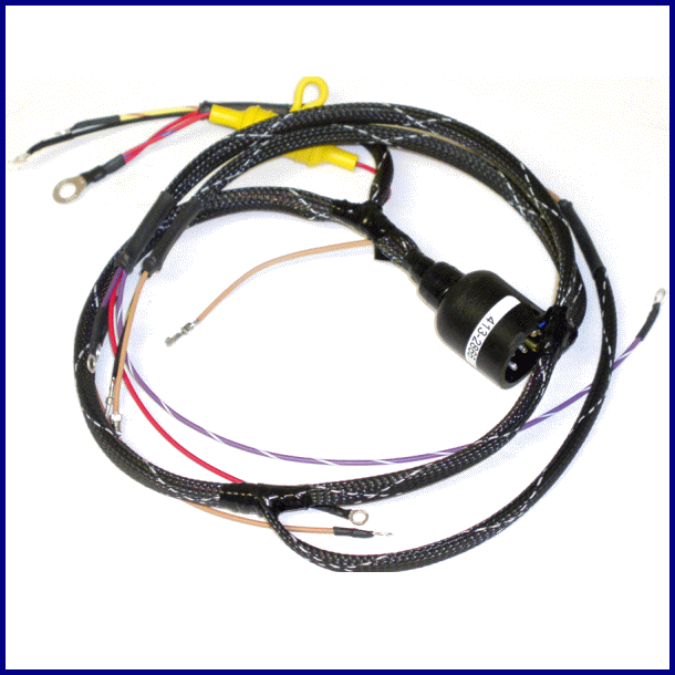 Evinrude Johnson Round Plug Internal Harness 389452 (413-2866)